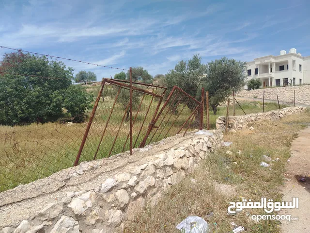 دنم مميز بطنا ع شارعين قرب شارع الستين الجديد