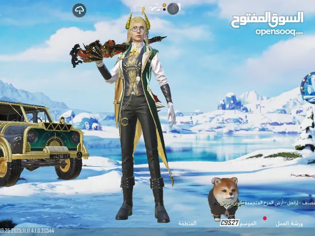 Pubg Accounts and Characters for Sale in Alexandria