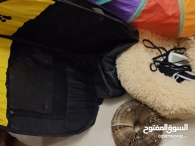 cat bed, playpen, tunnel, leash ,toy