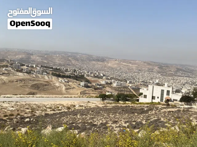 Residential Land for Sale in Amman Safut