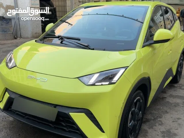 Used BYD Seagull in Amman