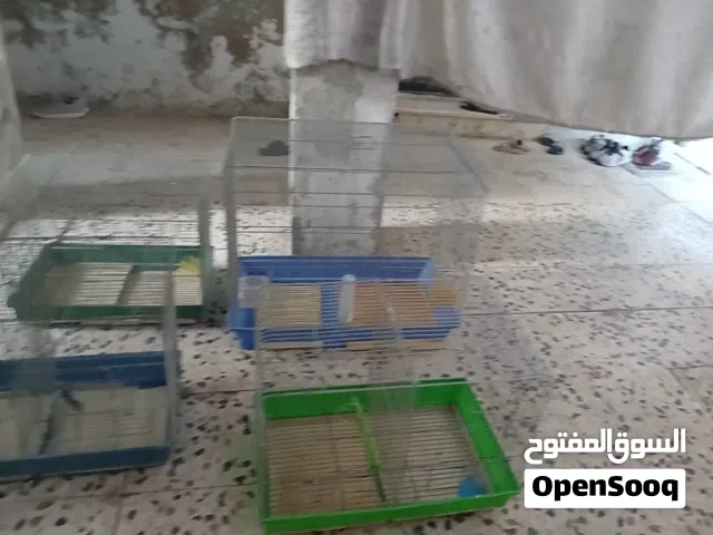 اقفاص مستعملة جيدة