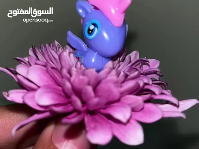 شراء تصفيات ملابس