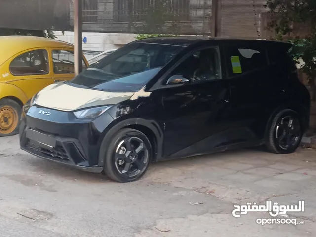 Used BYD Seagull in Amman
