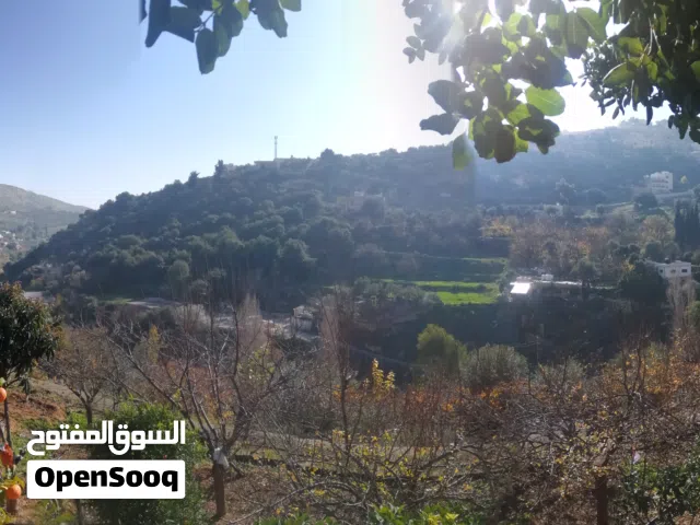 مزرعه جميله بإطلاله خلابه على بساتين وادي السلط