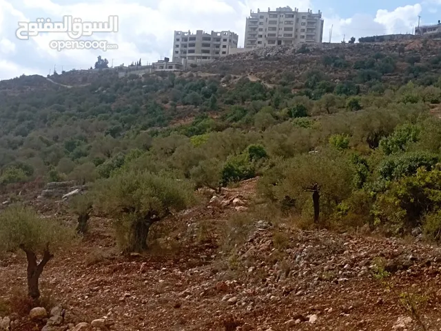 Residential Land for Sale in Ramallah and Al-Bireh Kaubar