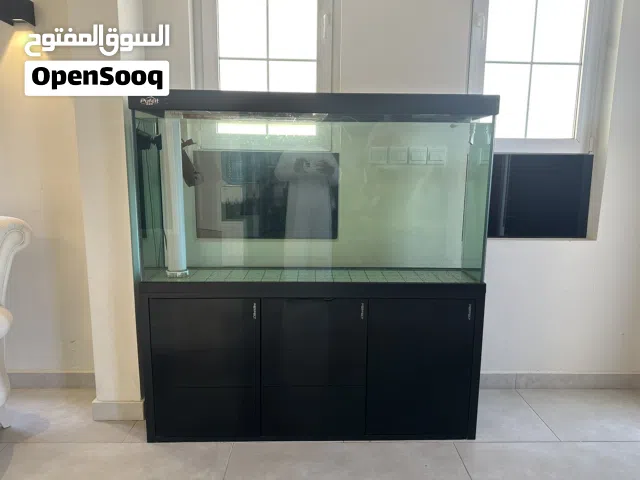 حوض سمك كبير + شبه جديد