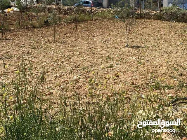 أرض مرتبة ومعمرة على الشارع إطلالة رائعة