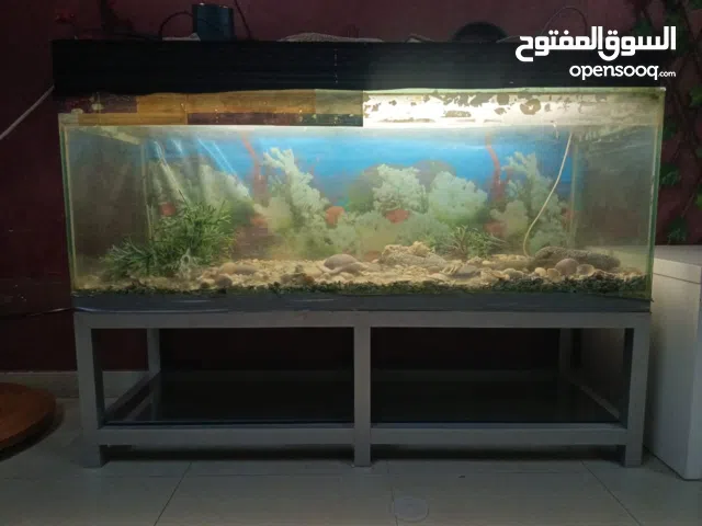 حوض سمك كبير مع قاعدة ألمينيوم