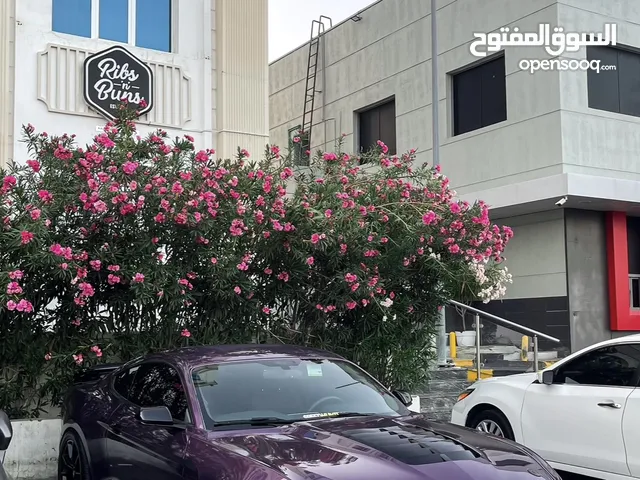 Used Ford Mustang in Muscat