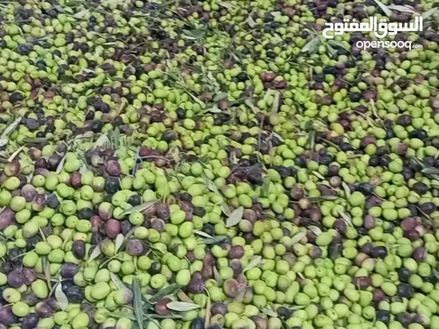 يوجد لدينا زيت زيتون بلدي التواصل هاتف