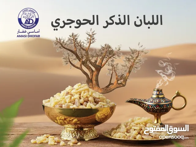 Luban Hujri Jakar From Salalah, Oman