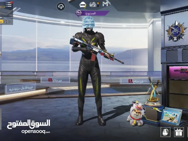 Pubg Accounts and Characters for Sale in Hebron