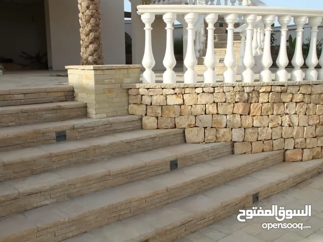 حجر عماني طبيعي ( أصلاف)