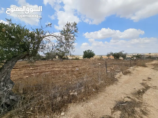 قطعة ارض للبيع مساحة 878 متر من ارضي بيت قاد