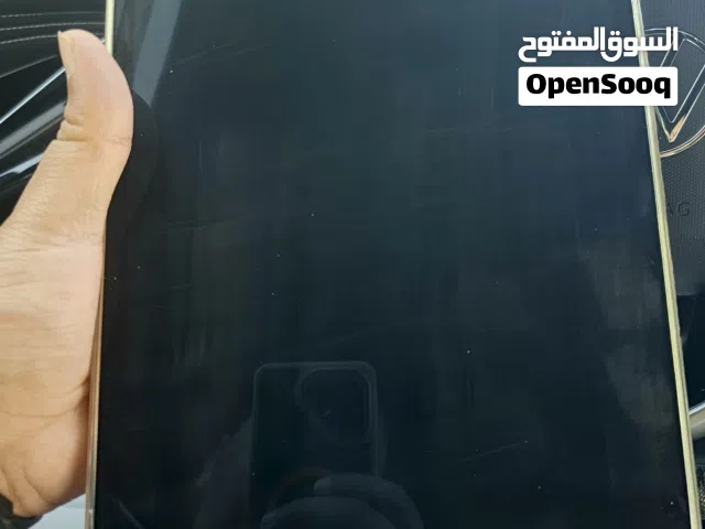 Apple iPad Pro 11 256 GB in Amman