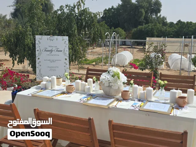 فرصة استثمارية نادرة  Rare Turnkey Farm & Chalet Investment in Al Khatim  للبيع مزرعة متكامل
