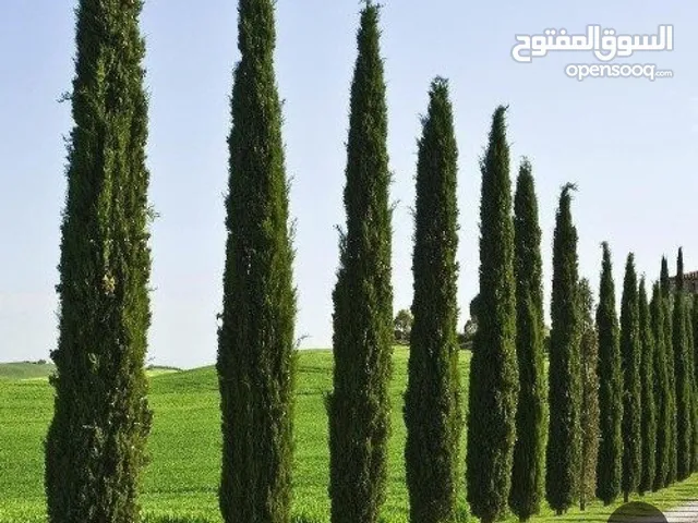مكاتب للايجار