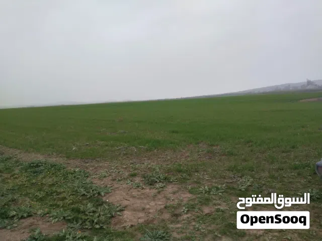 Farm Land for Sale in Tripoli Other