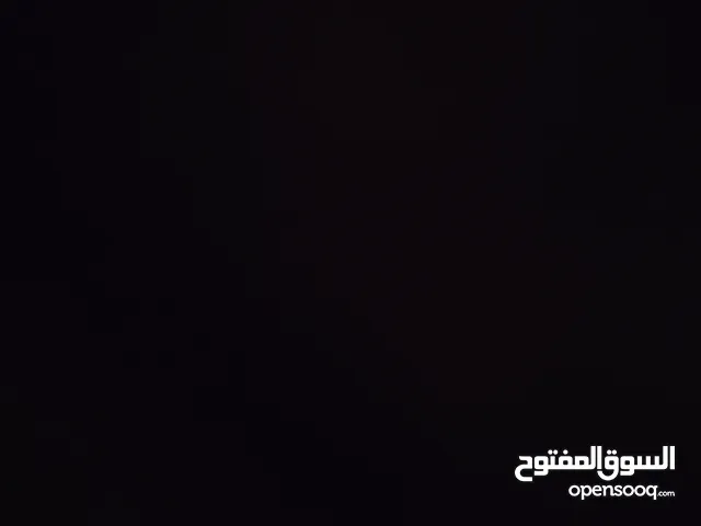 أسامة حجازي عبدالرحيم الشلالدة