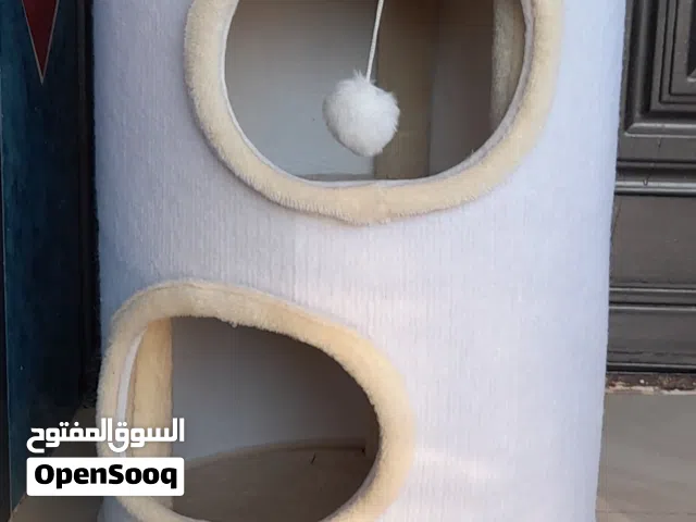 خداشة للقطط