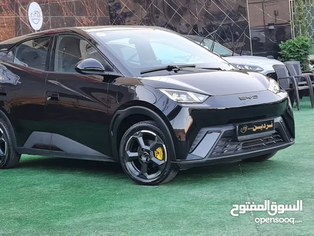 Used BYD Seagull in Amman