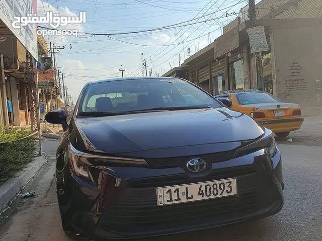 New Toyota Corolla in Baghdad