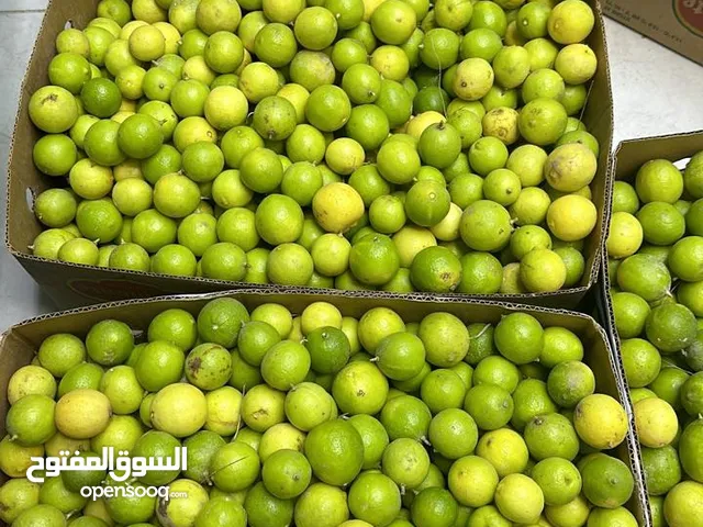 ليمون حامض عماني 20كيلو الجونيه