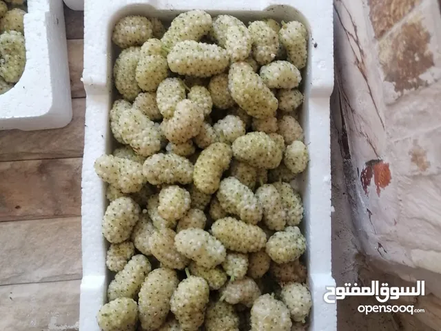 يرجد توت ابيض اسود تركي