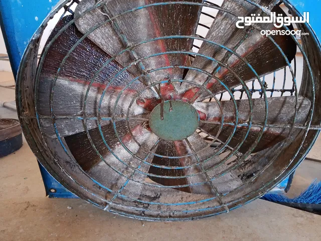 كوشه وشفاط واسكفالي