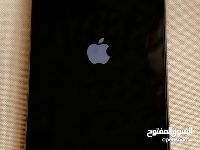 iPhone 12 ProMax 256
