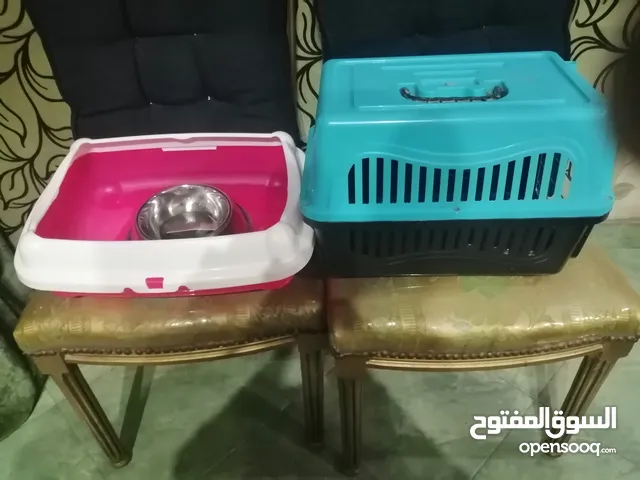 بوكس وطبق اكل وليتر بوكس