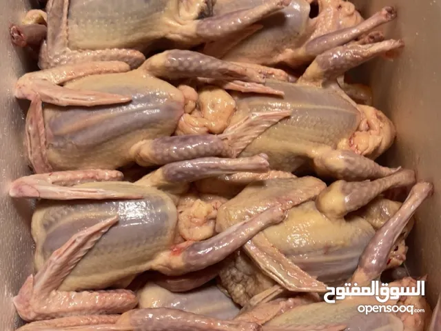 زغاليل لاحم ذبح فرش ف البطائح