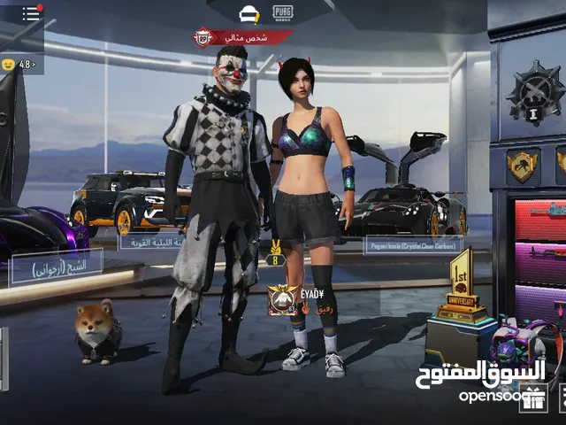 Pubg Accounts and Characters for Sale in Hawally