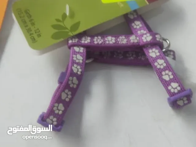 طوق أحزمة كليب