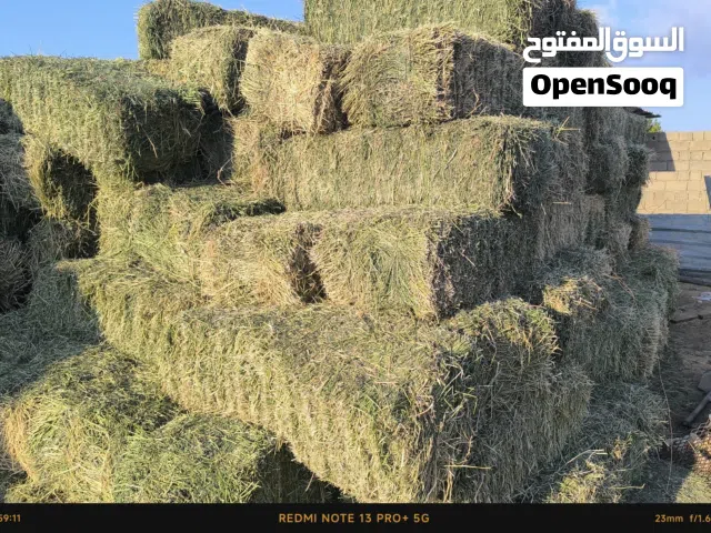 قضب بال صفصفه برسيم علف تبن