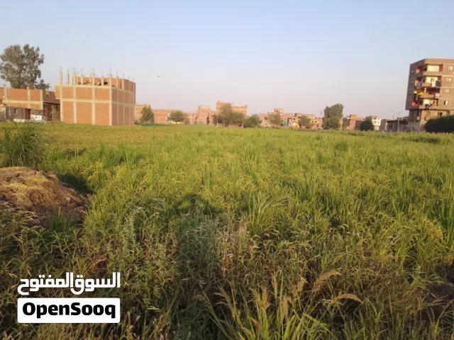 Mixed Use Land for Sale in Qalubia Qalyub