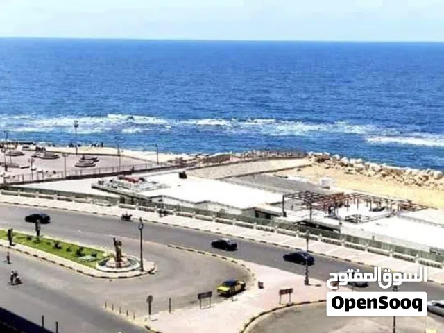100 m2 2 Bedrooms Apartments for Rent in Alexandria Miami