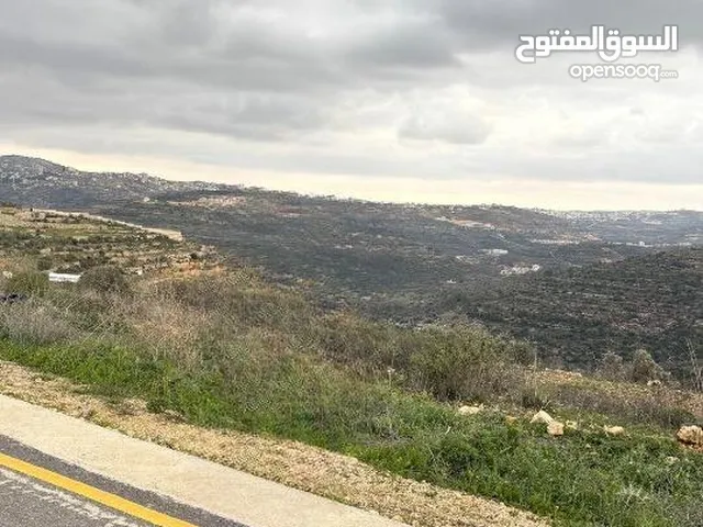 قطعتين ارض منفصلتين للبيع بسعر مغري