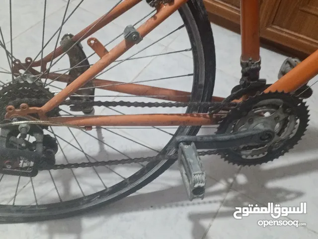 بطلست ياباني 2020