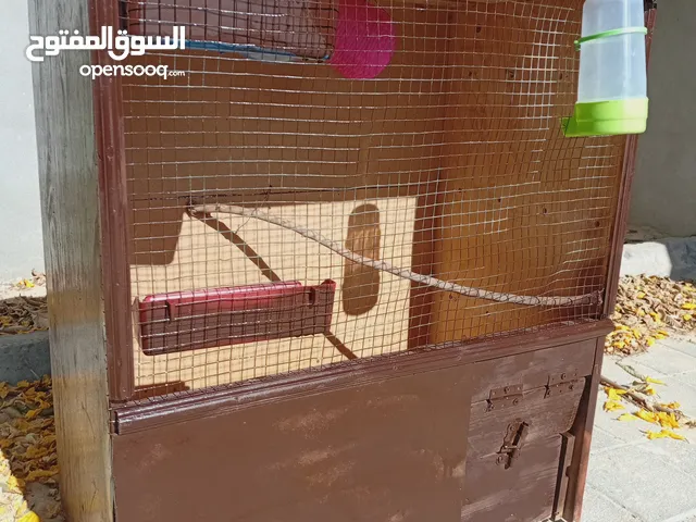 اقفاص زيبرا شعبيه