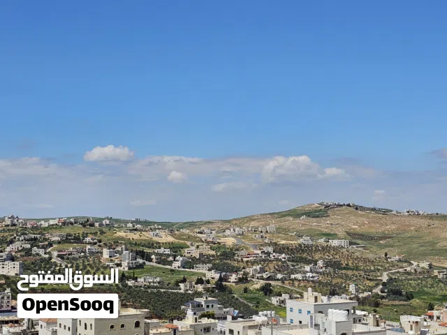 Residential Land for Sale in Amman Shafa Badran