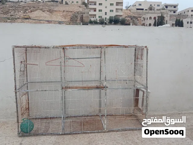 مطير طيور عصافير-حمام أو أي نوع حيوان مناسب