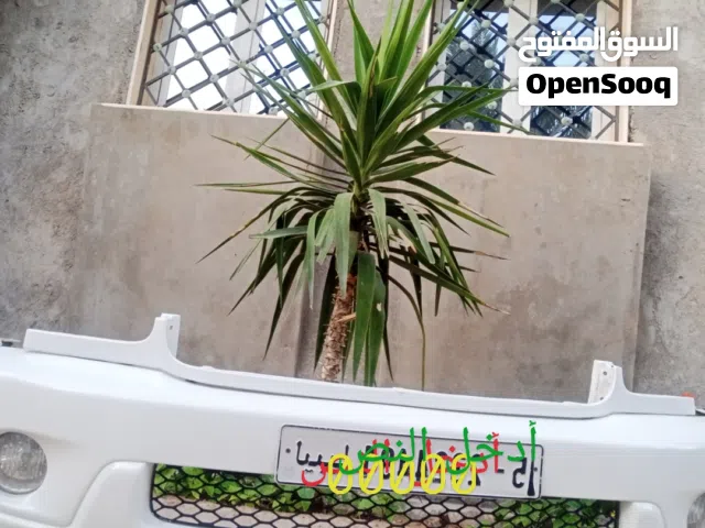 بروانتي سيكويا/تندرا   وشوي بضاعة