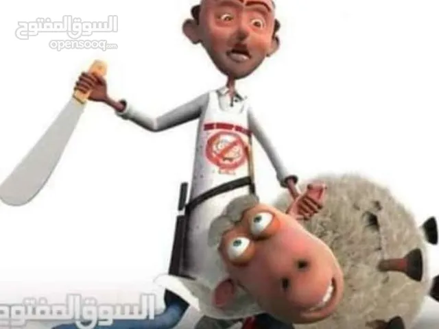 لحام جزار متفرغ دبح في المنازل جميع انواع الأضاحي