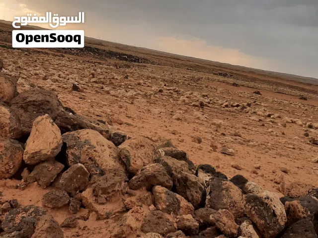 ارض زراعية للبيع في الاردن