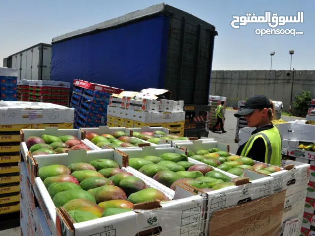 مطلوب شريك لمشروع قائم في تصدير واستيراد الخضروات والفواكه