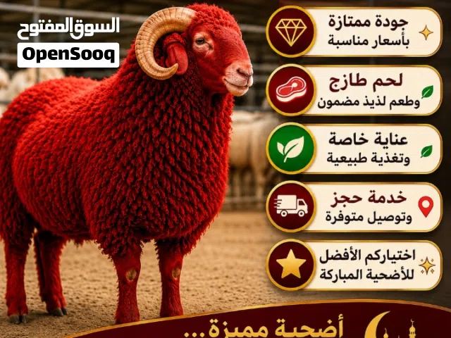 Naeemi Saudi