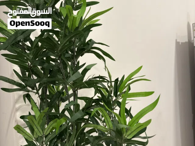 شجرة بامبو اصطناعيه