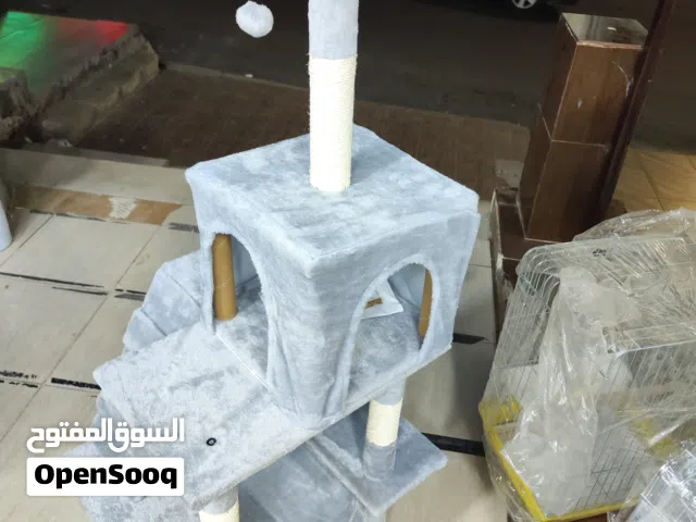 خداشه قطط عده الطوابق مميزه جدا مع مرجيحه وبيت بالاعلى شوف الريلز موضح كامل
